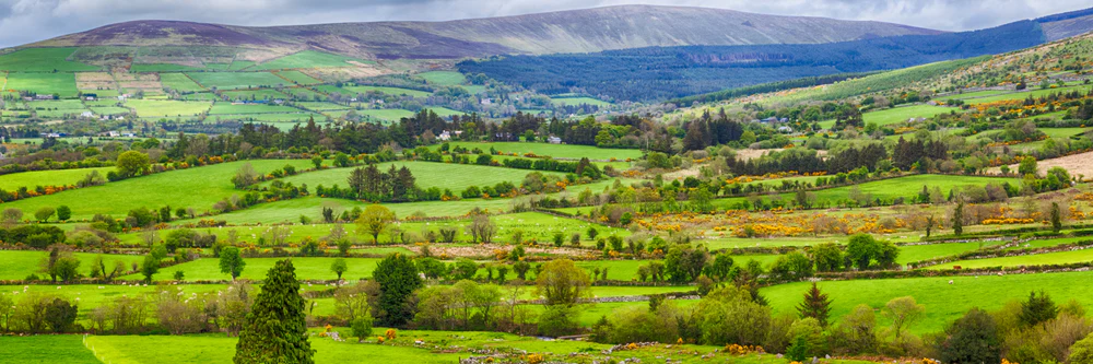 Authentic Irish Treasures For You